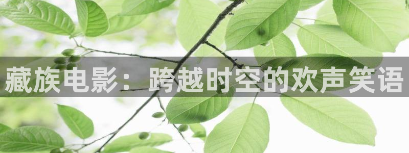星辰影院手机在线看