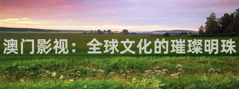 星辰影院在线观看官网