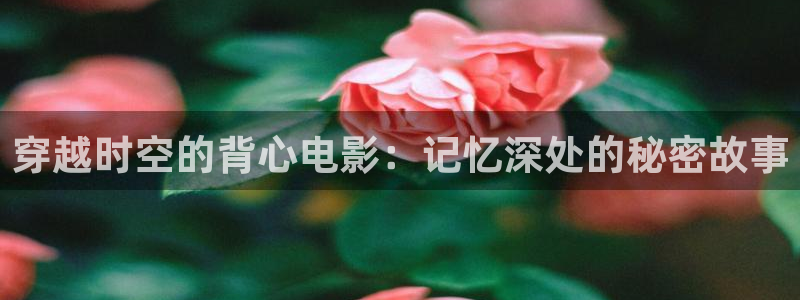 大梦归离免费观看星辰影院