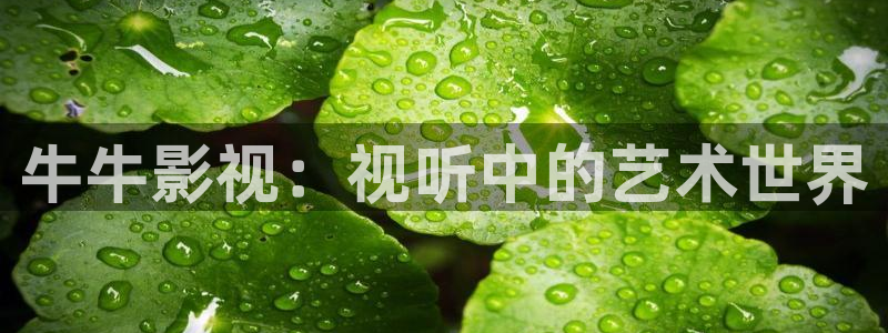 锦衣之下免费观看星辰影院