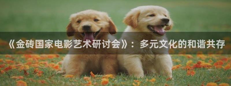 星辰影院合法吗