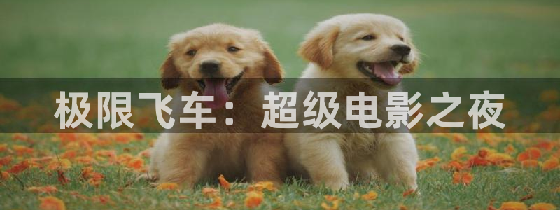 第二十条电影在线播放星辰影院