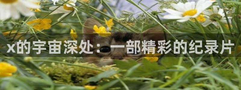 星辰影院最新最全电视剧电影