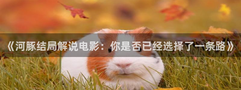 这是我的西游综艺星辰影院免费观看