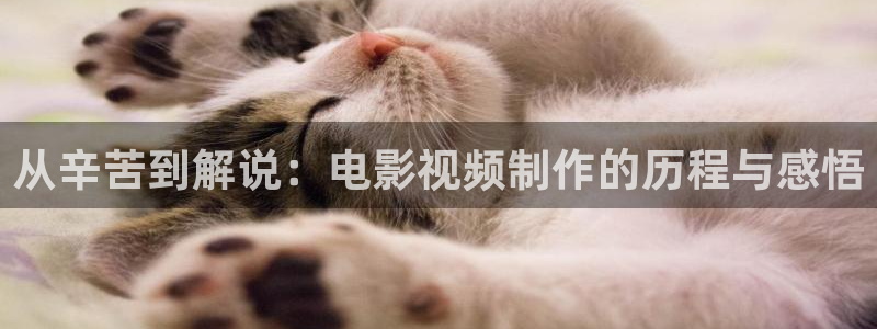 爱丫爱丫星辰在线影院电视剧