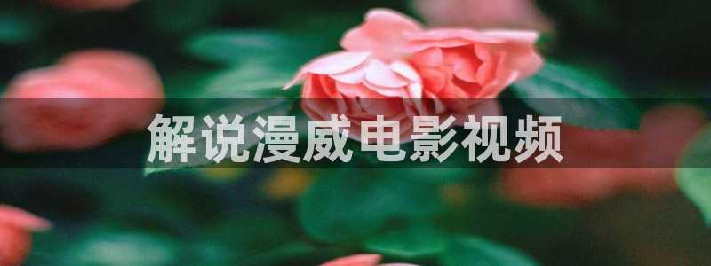 北京星辰合力影视