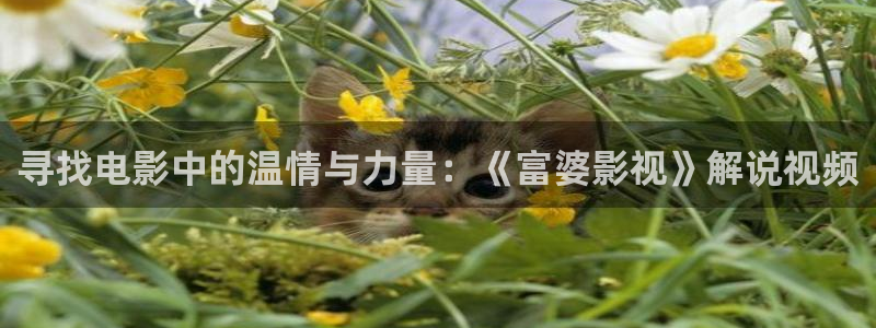 749局电影星辰影院
