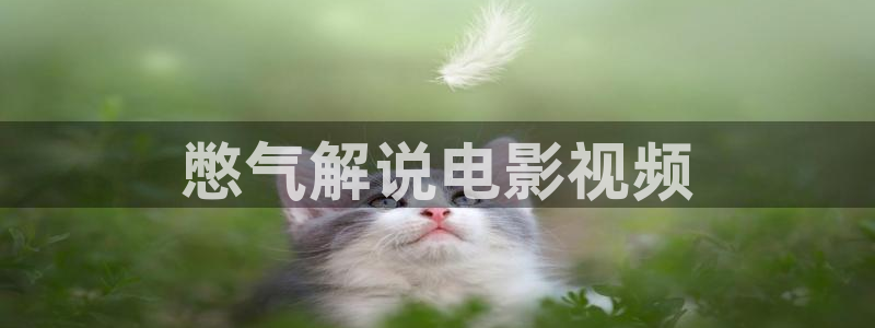 你是我的荣耀在线观看星辰影院