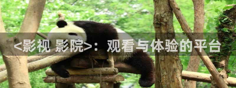 传家星辰影院