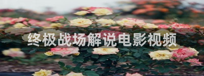 奇异博士2星辰影院