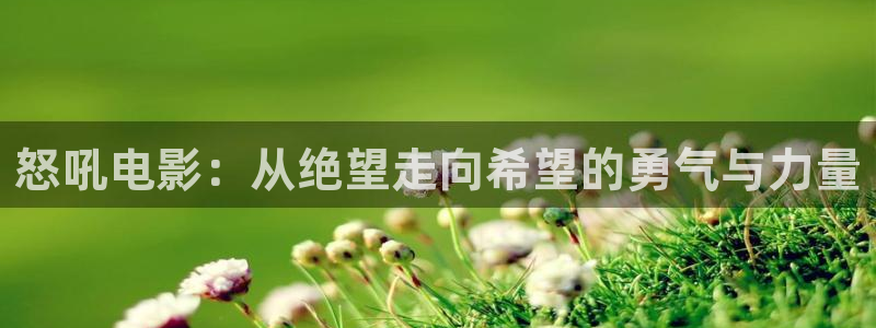 星辰影视电视剧