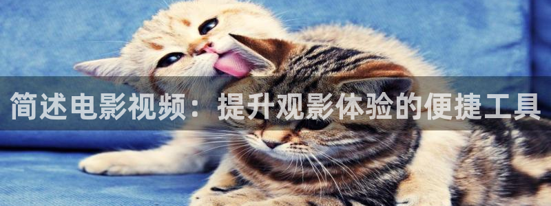九部的检察官星辰影院