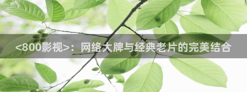 如懿传87集免费播放星辰影院