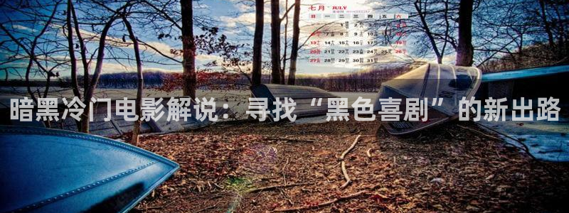 不是神马星辰影院
