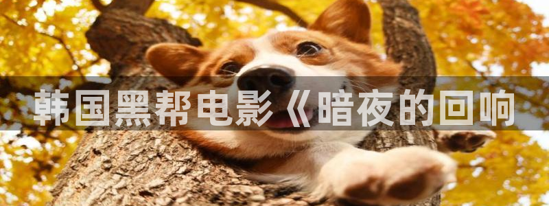 还珠格格第一部免费完整版免费星辰影院