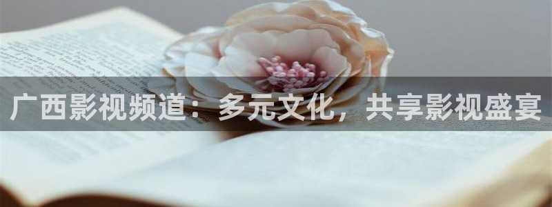 斛珠夫人电视剧免费观看全集星辰影院