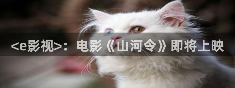 星辰影视破解版