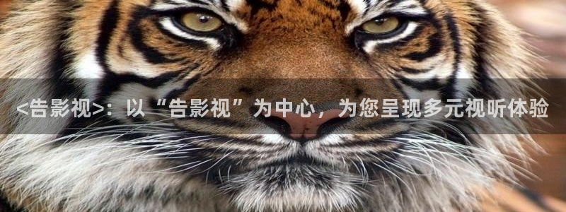 电影大全免费星辰影院