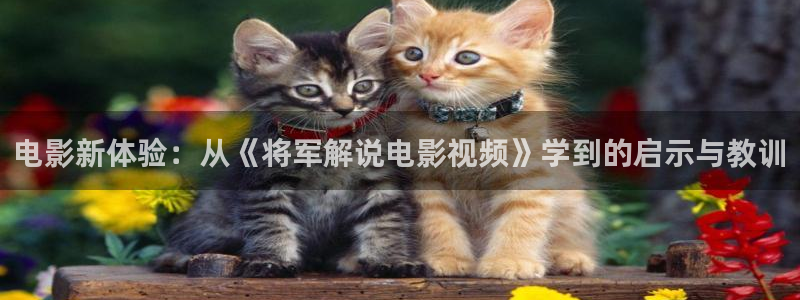星辰影视tv版