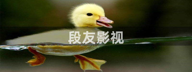 2026星辰影院