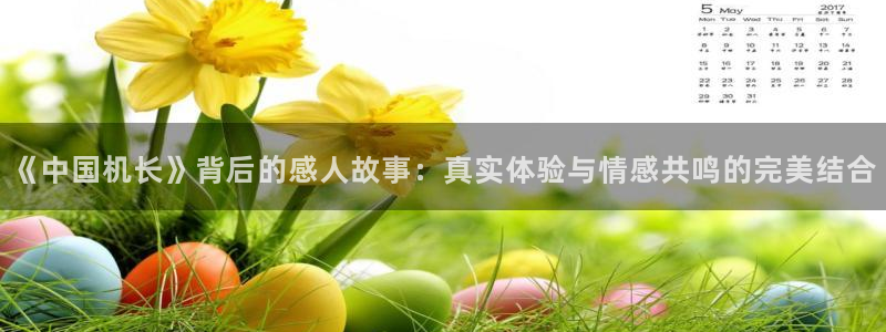 斛珠夫人电视剧全集星辰影院