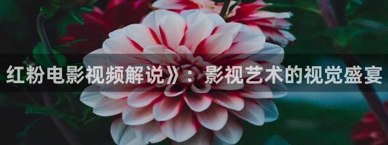 星辰影院在线观看私人