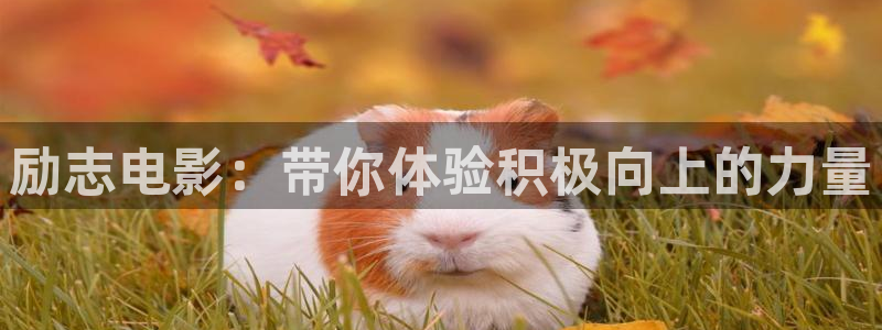 影院星辰