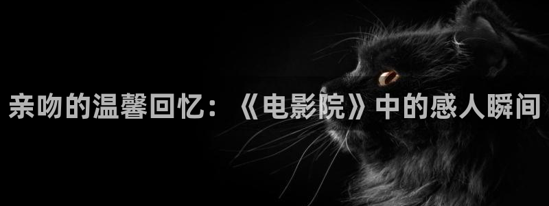 我的后半生免费观看星辰影视