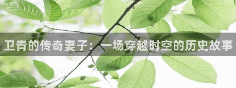 星辰影院我的团长我的团