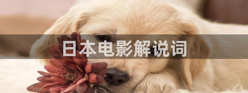 星辰影院v