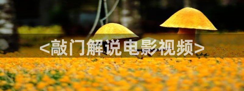 星辰影院伦理在线
