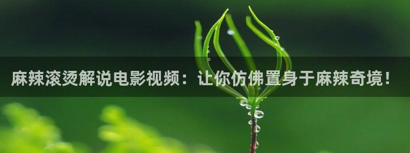 在线观看视频星辰