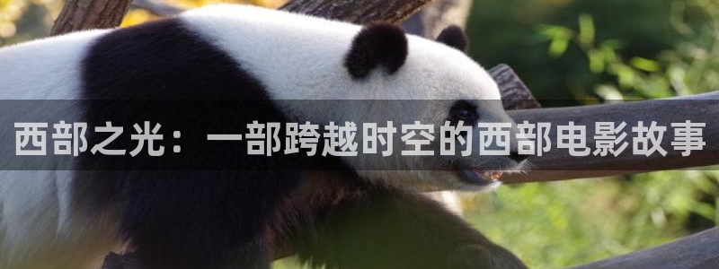 星辰影院电影全集观看