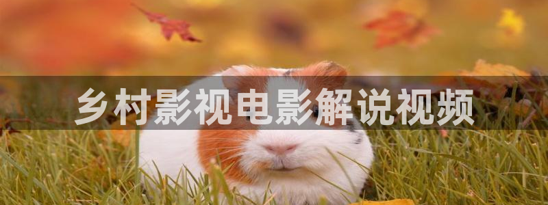 外科风云星辰影院